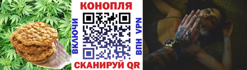 Canna-Cookies конопля  купить   Мензелинск 