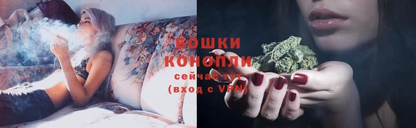 гидра Лагань