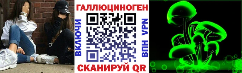 Галлюциногенные грибы Psilocybine cubensis  Мензелинск 